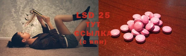 твердый Новодвинск