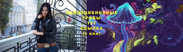 трава Аркадак